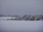 dsc00882_small.jpg