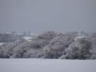 dsc00883_small.jpg