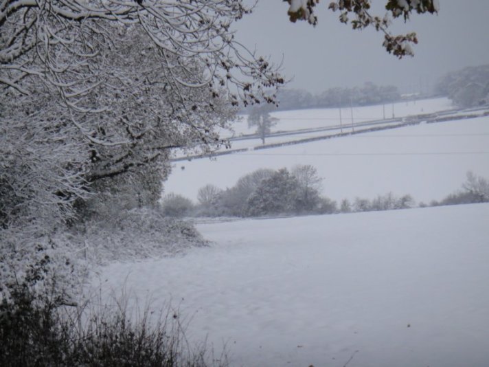 DSC00884 dsc00884.jpg