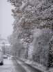dsc00885_small.jpg