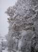 dsc00886_small.jpg