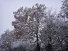 dsc00887_small.jpg