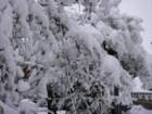 dsc00888_small.jpg