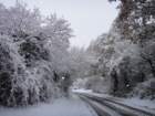 dsc00891_small.jpg