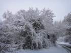 dsc00892_small.jpg