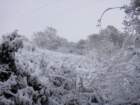 dsc00894_small.jpg