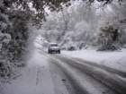 dsc00895_small.jpg