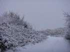 dsc00896_small.jpg