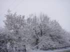dsc00897_small.jpg
