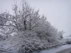 dsc00898_small.jpg
