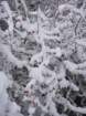 dsc00900_small.jpg