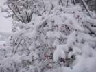 dsc00901_small.jpg