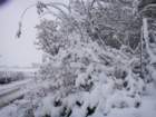 dsc00902_small.jpg