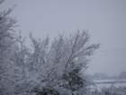dsc00903_small.jpg