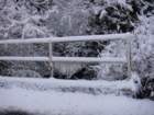dsc00905_small.jpg