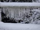 dsc00906_small.jpg