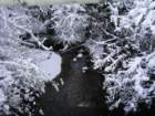 dsc00907_small.jpg