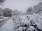 dsc00910_small.jpg
