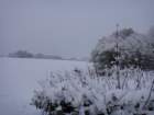 dsc00911_small.jpg