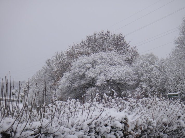 DSC00913 dsc00913.jpg