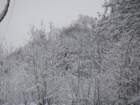 dsc00915_small.jpg