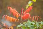 dsc02967_small.jpg