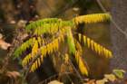 dsc02973_small.jpg