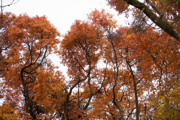 DSC03144 dsc03144.jpg