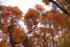 dsc03144_small.jpg