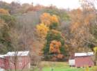 dsc031467_small.jpg