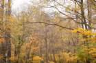 dsc03156_small.jpg