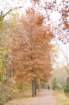 dsc03201_small.jpg