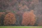 dsc03218_small.jpg
