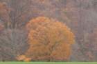 dsc03221_small.jpg
