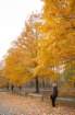 dsc03229_small.jpg