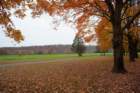 dsc03232_small.jpg