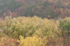 dsc03310_small.jpg