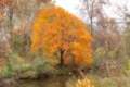 2012-10-25-26_dr_canal_river_landscape_index.jpg