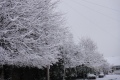iow_in_snow_index.jpg