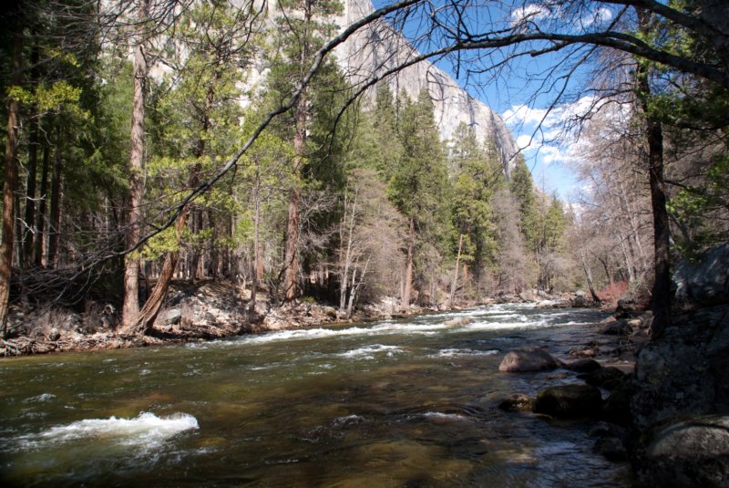 Yosemite Valley A-100-DSC01697 yosemitevalleya100dsc01697.jpg
