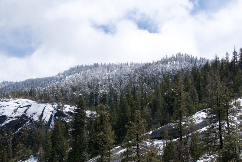 Yosemite Valley A-100-DSC01784 yosemitevalleya100dsc01784.jpg
