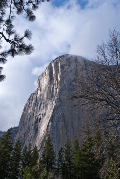 Yosemite Valley A-100-DSC01996 yosemitevalleya100dsc01996.jpg