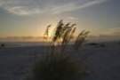 sunset_20080800_st_pete_beach1_small.jpg