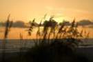 sunset_20080800_st_pete_beach2_small.jpg