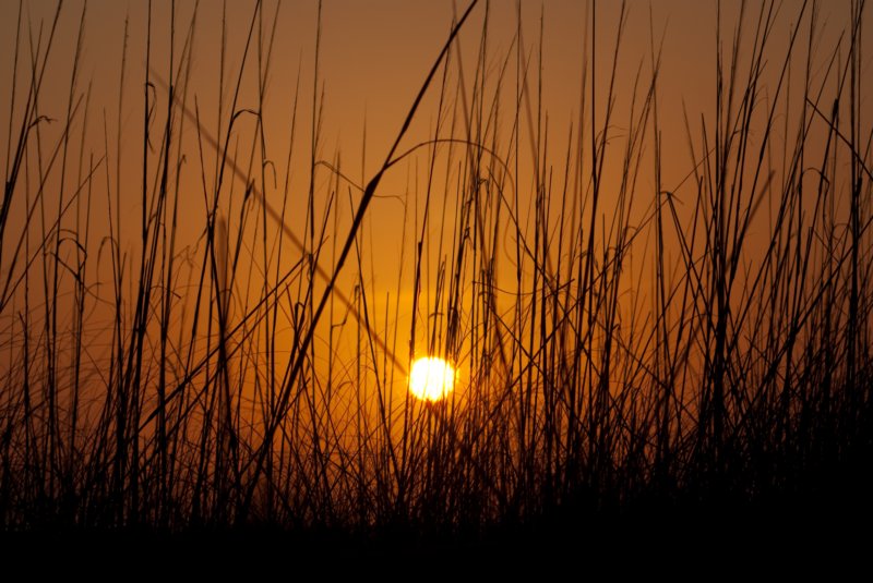 sunset_2009-04-29_sar_steve_fl_DSC02786 sunset_20090429_sar_steve_fl_dsc02786.jpg