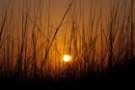 sunset_20090429_sar_steve_fl_dsc02786_small.jpg