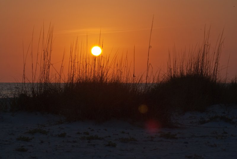 sunset_2009-04-29_sar_steve_fl_DSC02788 sunset_20090429_sar_steve_fl_dsc02788.jpg