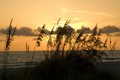 sunrises_sunsets_index.jpg